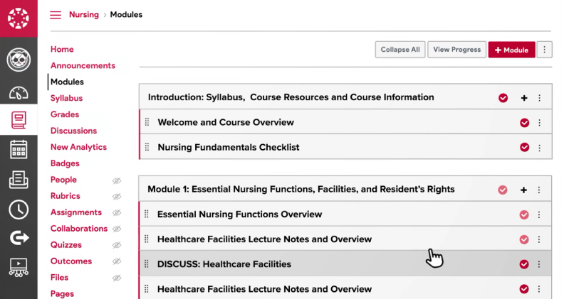 Canvas LMS