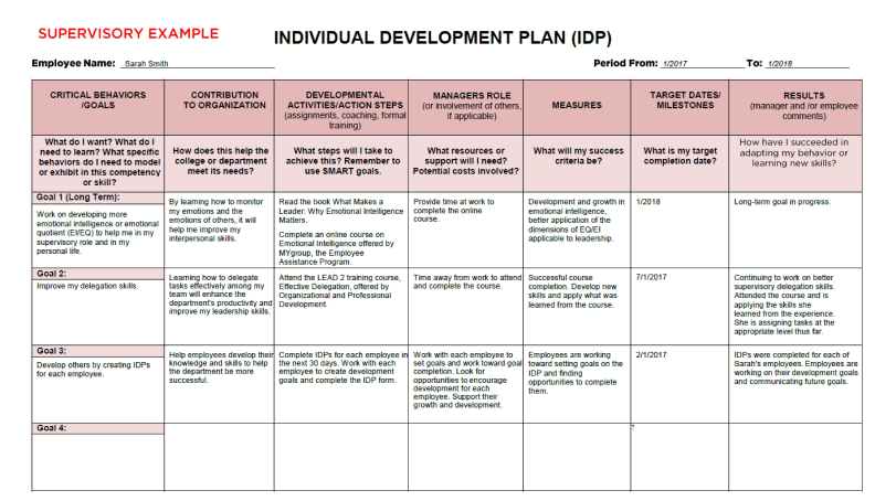 University of South California Individual Development Plan