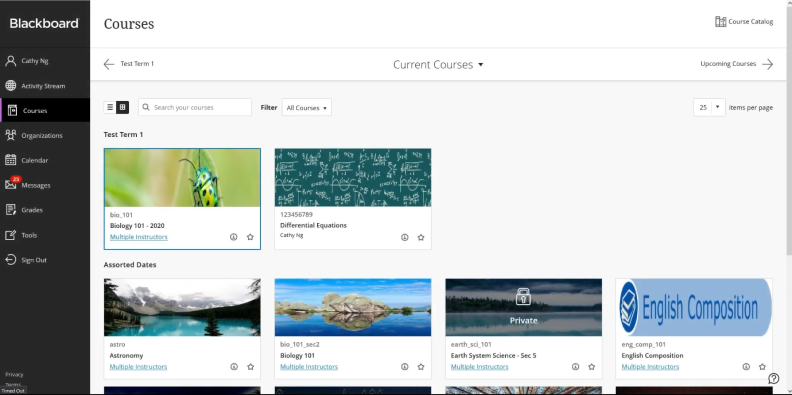 Blackboard LMS interface