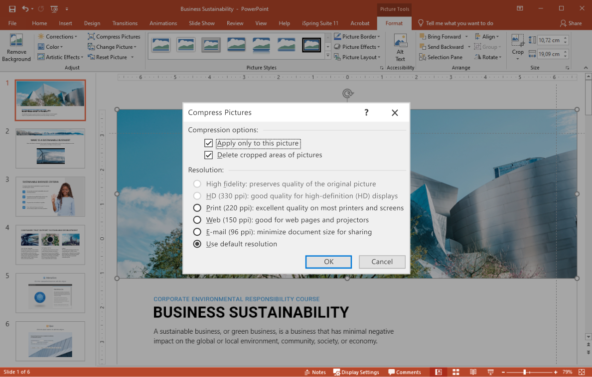 Apply only to this image option in PowerPoint