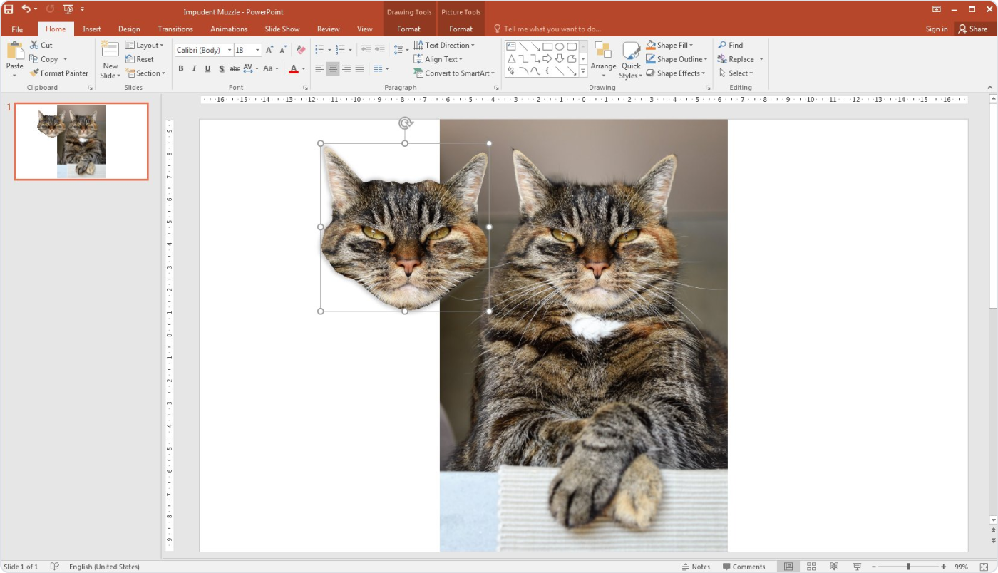 How to make a better PowerPoint presentation with custom-shaped images